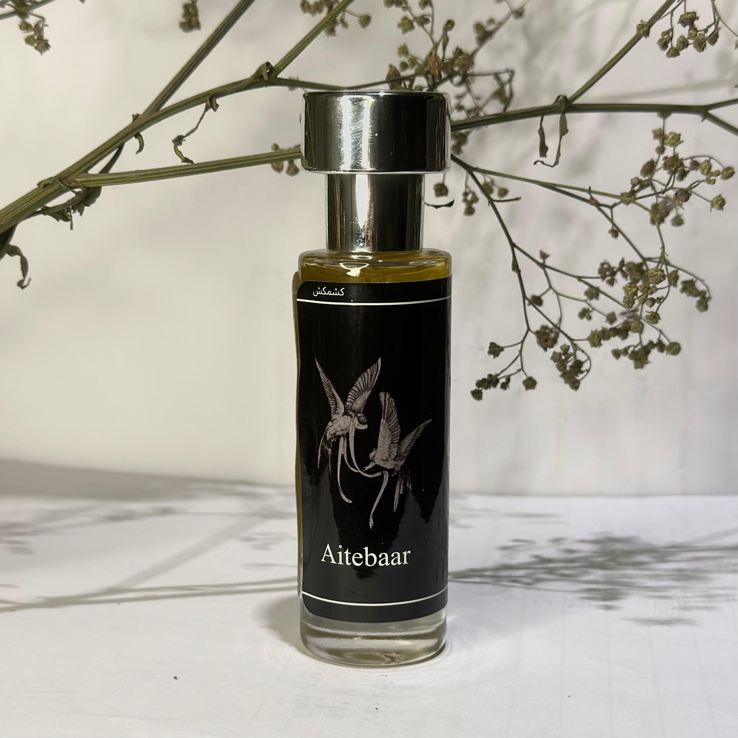 Aitebaar x Black Orchid