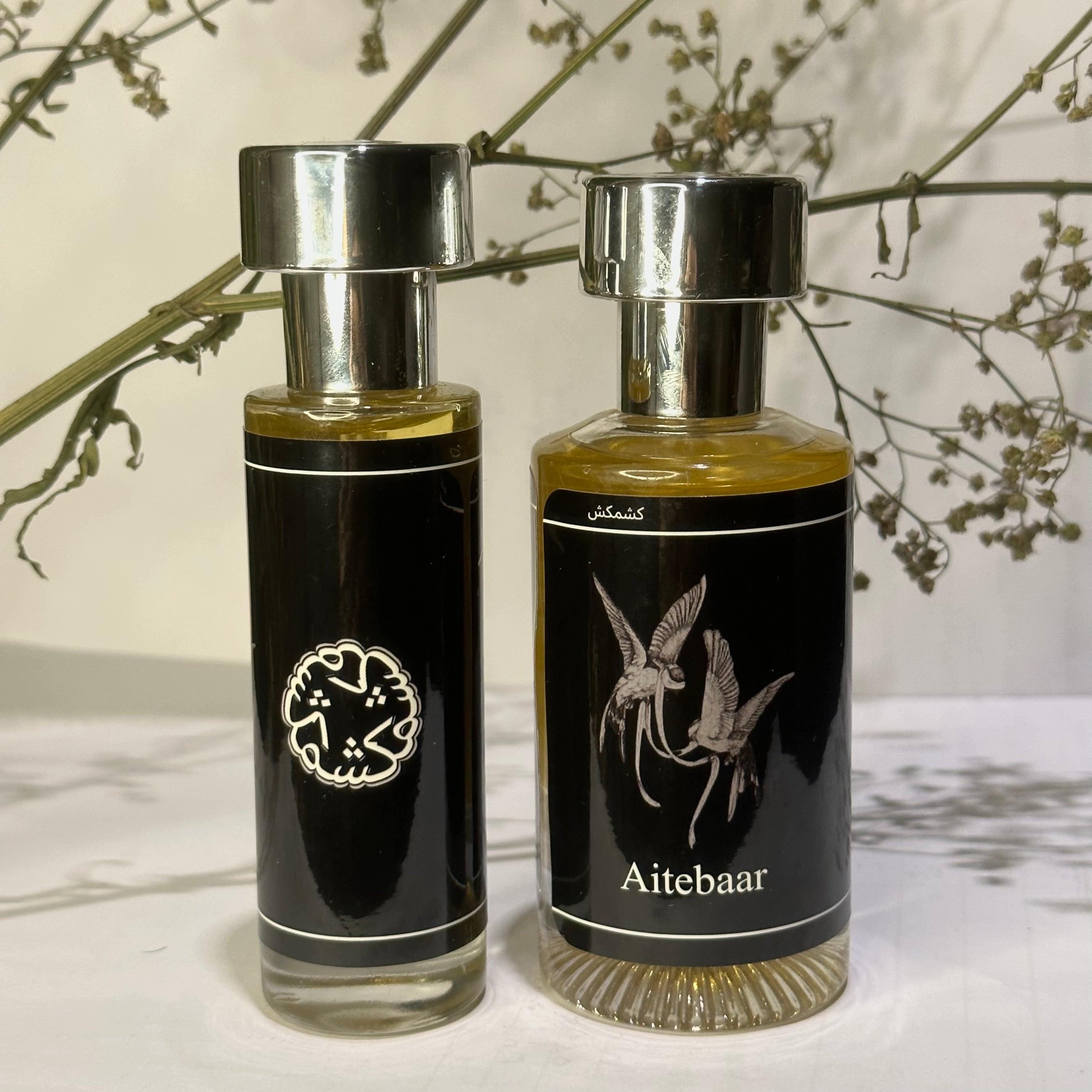 Aitebaar x Black Orchid